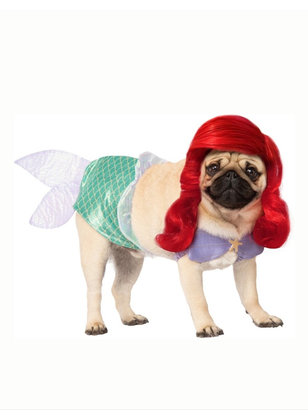 NIP | Rubie's Costume Company Ariel Disney Princess Dog & Cat Costume | Small